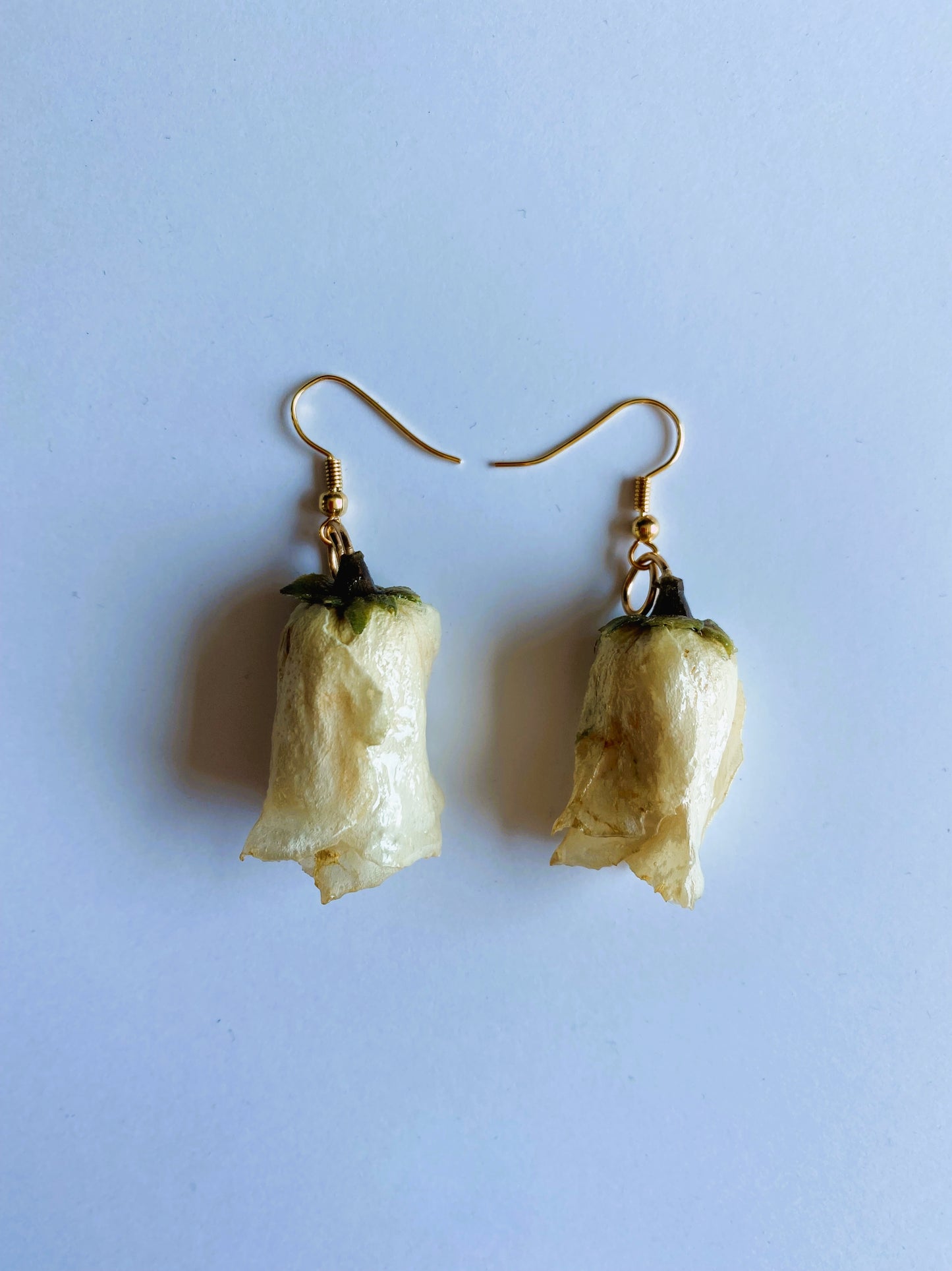 Rozen oorhangers - Wit